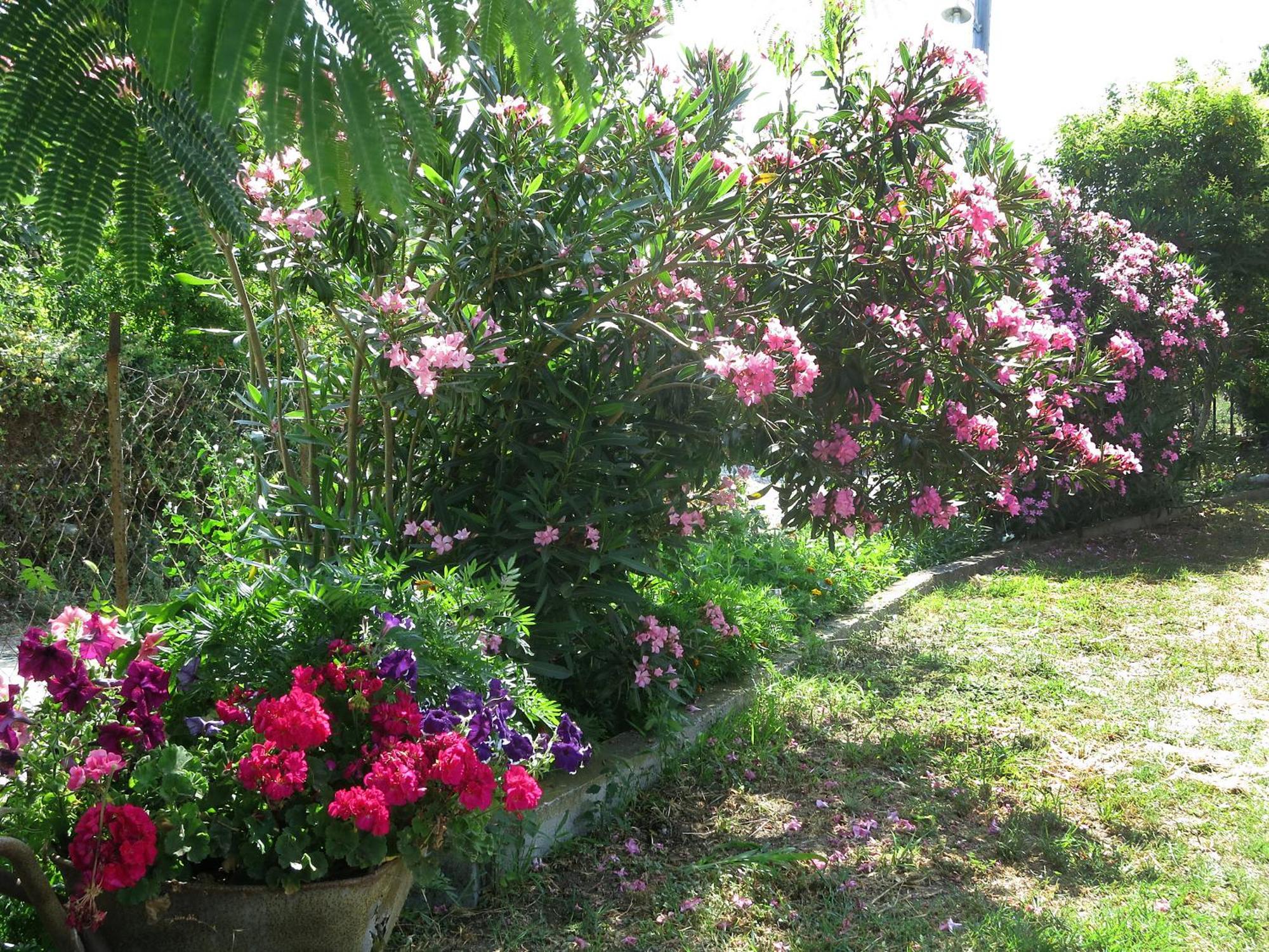 Thanasis Matsas Rooms Kamariotissa Exterior photo